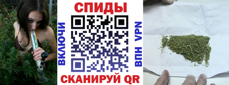 shop как зайти  гидра tor  Солнечногорск  цена наркотик  БУТИРАТ 1.4BDO 