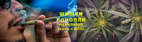 винт Арсеньев