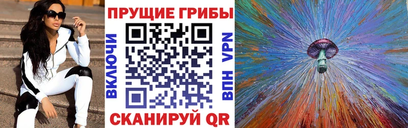 что такое   Солнечногорск  shop Telegram  Псилоцибиновые грибы Magic Shrooms 
